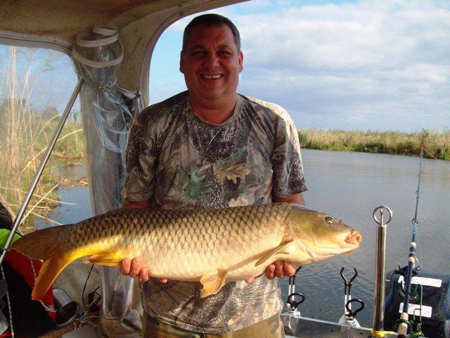 delta rosu 2010 - sany1198.JPG